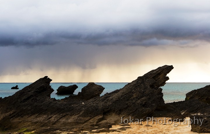 Lord Howe Island_20061212_140.jpg